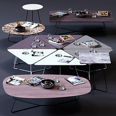 Modern Ditre Italia Coffee Table Set 3D model image 1 