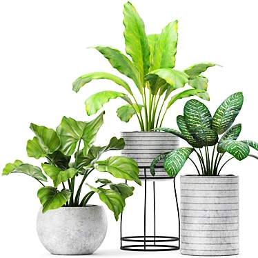 Botanical Bliss: 14 Potted Plants 3D model image 1 