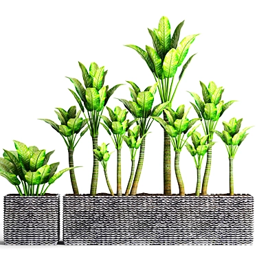 Potted Plant Collection - 16 Varieties 3D model image 1 