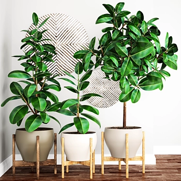 Ficus Robusta: Exquisite Potted Plant 3D model image 1 
