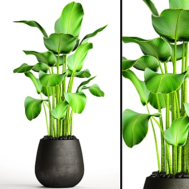 Leafy Bliss: Potted Plant Delight 3D model image 1 