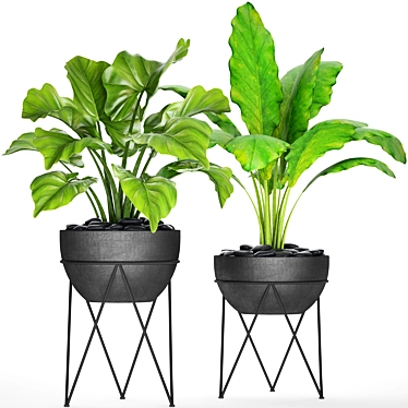 Potted Plant Collection - 25 Varieties 3D model image 1 