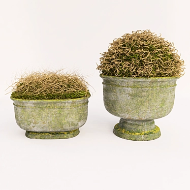 Nature's Delight: Decor Set (2 Pots) 3D model image 1 