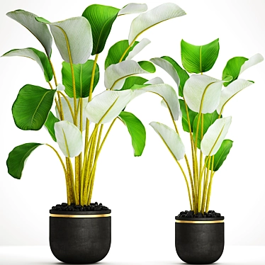 Botanical Pot Collection 3D model image 1 