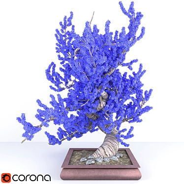 Tricolor Flower Bonsai Pot 3D model image 1 