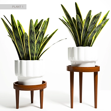 Elegant Plant Stand Holder 3D model image 1 