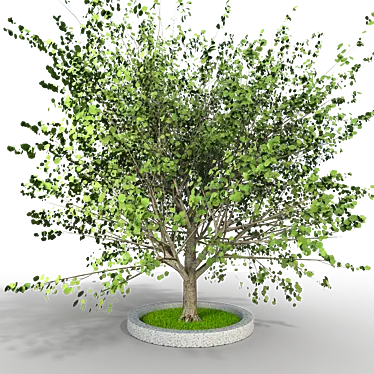 Elegant Tree Model 3D model image 1 
