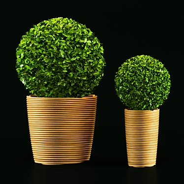 Sleek Greenery: Modern Plant 3D model image 1 