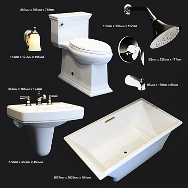 Complete Kohler Bathroom Plumbing Set 3D model image 1 