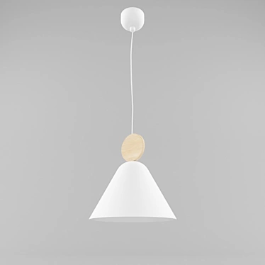Modern Pendant Light 3D model image 1 