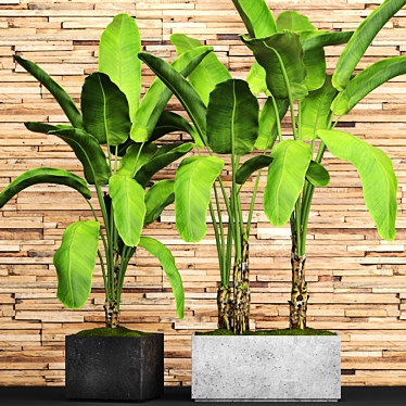 Green Oasis: Botanical Pot Collection 3D model image 1 