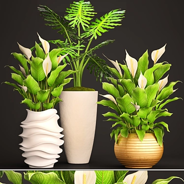 Indoor Greenery Collection: Philodendron & Spatiphillum 3D model image 1 