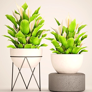 Indoor Plants Collection: 52 Potted Beauties 3D model image 1 