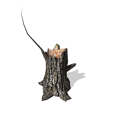 Realistic Stump Model - 3D Rendering 3D model image 1 