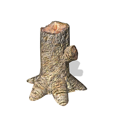 Title: High-Quality 3D Stump Model 3D model image 1 