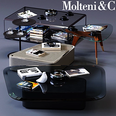 Modern Molteni&C Coffee Tables Set 3D model image 1 