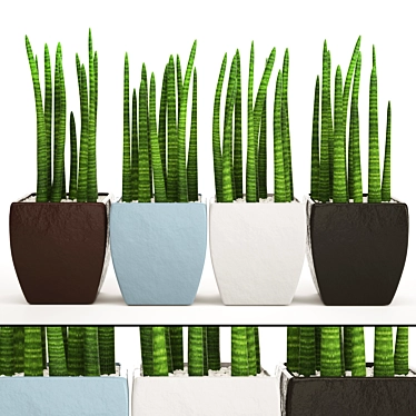 Stunning Sansevieria: A Pot Full 3D model image 1 