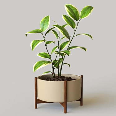 Modern Pot Plant: Stylish Décor for Your Space 3D model image 1 