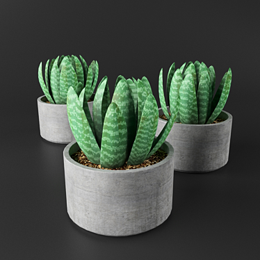 Concrete Succulent Plant Vase 3D model image 1 