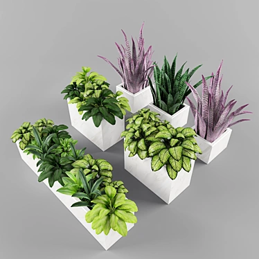 Green Oasis: Plant Collection 3D model image 1 