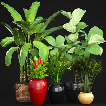 Diverse Tropical Plant Collection 3D model image 1 