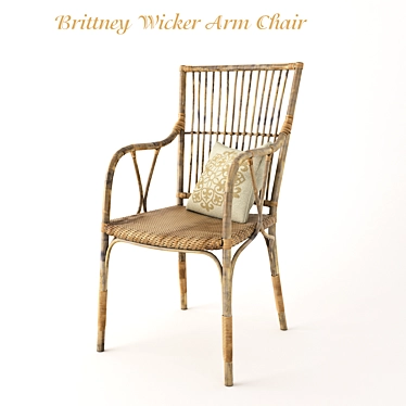 Brittney Wicker Armchair: Natural Rattan Elegance 3D model image 1 