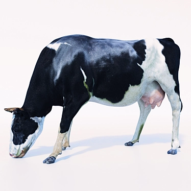 Meadow Grazing Cow 3D model image 1 