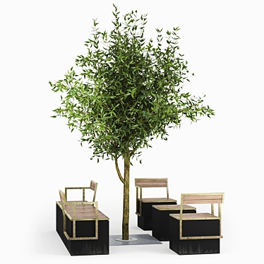 Exquisite Tree Park Bundle 3D model image 1 