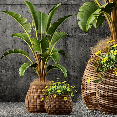 Lush Greenery: 55 Stunning Plants 3D model image 1 