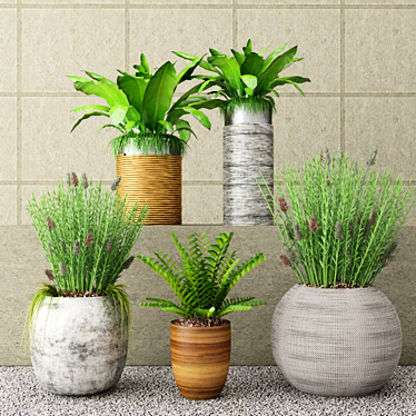 Botanical Bundle: Outdoor Plant Set 3D model image 1 