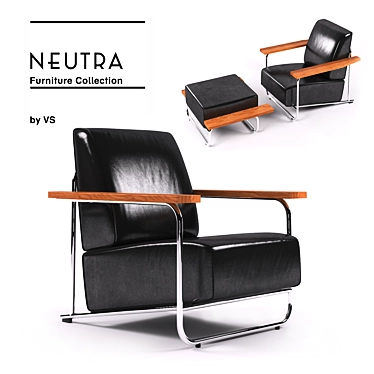 Neutra Lovell Easy Chair: Comfort and Elegance 3D model image 1 