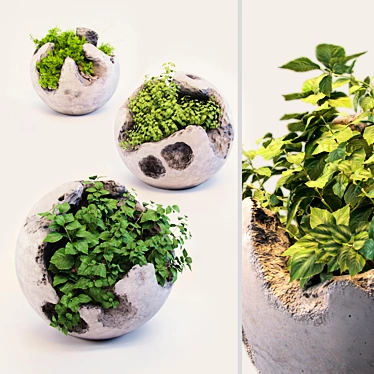 Modern Concrete Planters with Lush Greenery 3D model image 1 