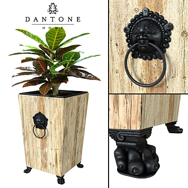 Flowerpot by Dantone Home + codiaeum (perezalivka)