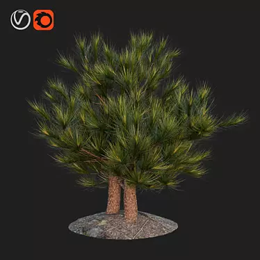 Charming Pine Miniature 3D model image 1 