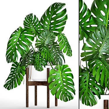 Title: Tropical Monstera Leaf Print 3D model image 1 