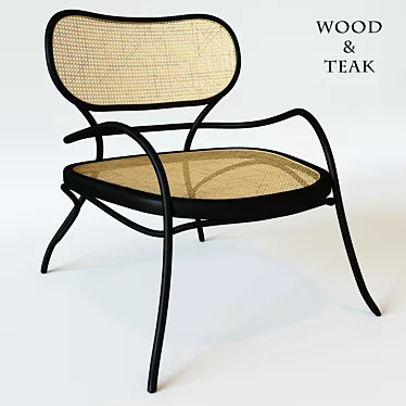 Classic Teak and Wood Armchair 3D model image 1 