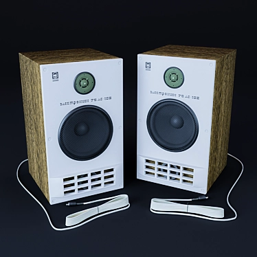 Premium 2-Way Acoustic Speakers 3D model image 1 