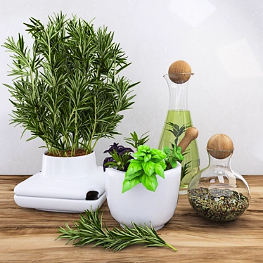 Spice up your decor with Rosemary 3D model image 1 