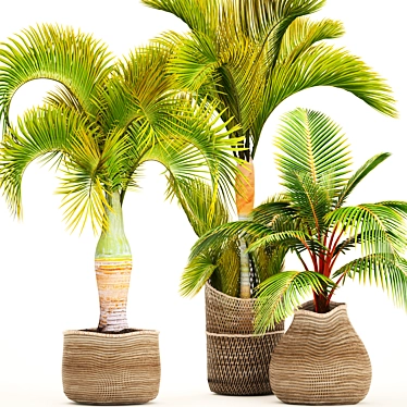 TropiCollection: Exotic Plant Oasis 3D model image 1 