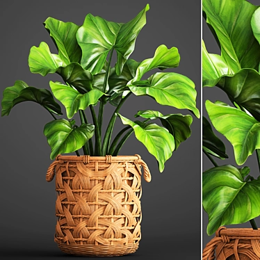 Exotic Jungle Foliage 3D model image 1 
