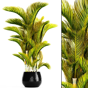 Golden Palm Tree - Vibrant Tropical Beauty 3D model image 1 