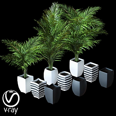 Realistic Home Palm Plant Kit 3D model image 1 