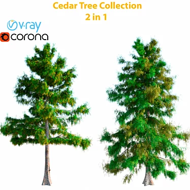 Cedar Models Collection - High-Quality Textured Set 3D model image 1 