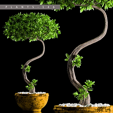 Greenery Collection: PLANTS 146 3D model image 1 