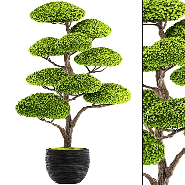 Niwaki Bonsai Tree Sculpture 3D model image 1 