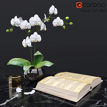 Elegant Decor Set 3D model image 1 