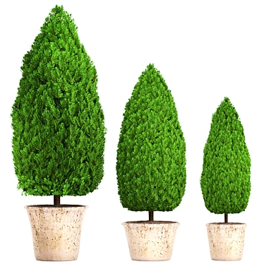 Beautiful Cupressus Collection: 127 Unique Plants 3D model image 1 