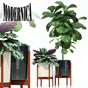 Modernica Pots - Plants Collection 3D model image 1 