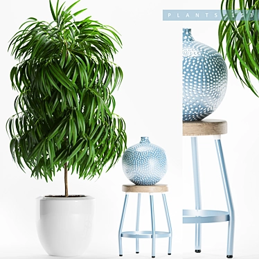 Tropical Bliss: Beautiful Plant Collection 3D model image 1 