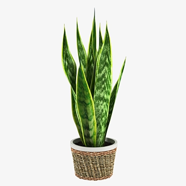 Modern Pot Plant 22: Elegant Design for Indoor Decor 3D model image 1 